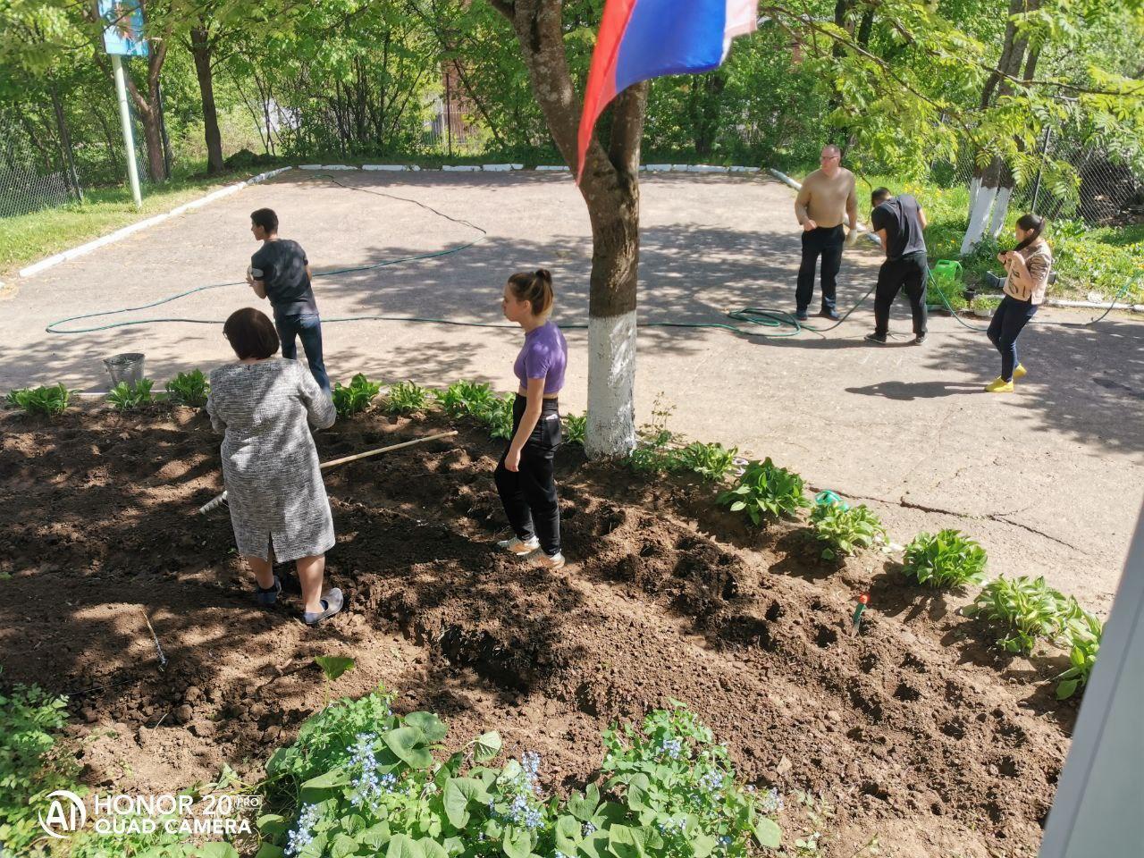 Школьная клумба.